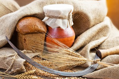 ekmek ve eski arka planda spikelets