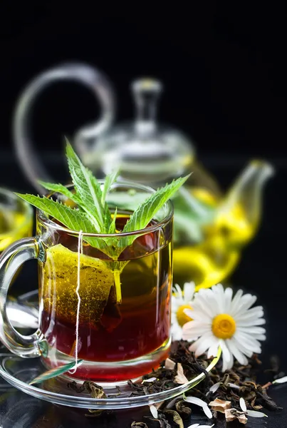 Cup with green tea and green leaves. — Stock Photo, Image