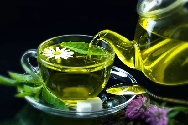 Taza con té verde y hojas verdes . — Foto de Stock