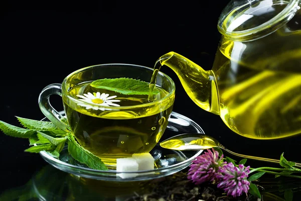 Taza con té verde y hojas verdes . — Foto de Stock