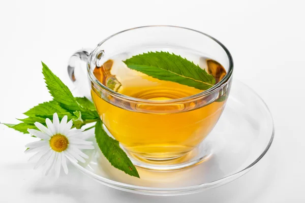 Чашка зеленого чаю і зеленим листям. — стокове фото