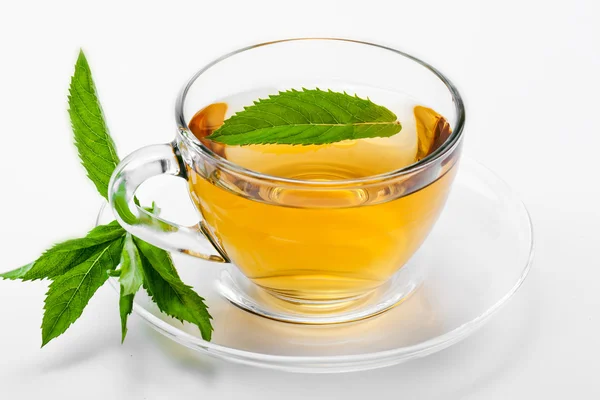 Чашка зеленого чаю і зеленим листям. — стокове фото