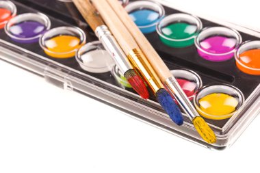 Boyalar ve fırçalar.