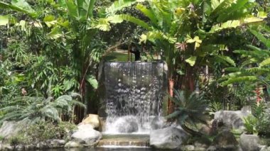 Waterfall at the Garden