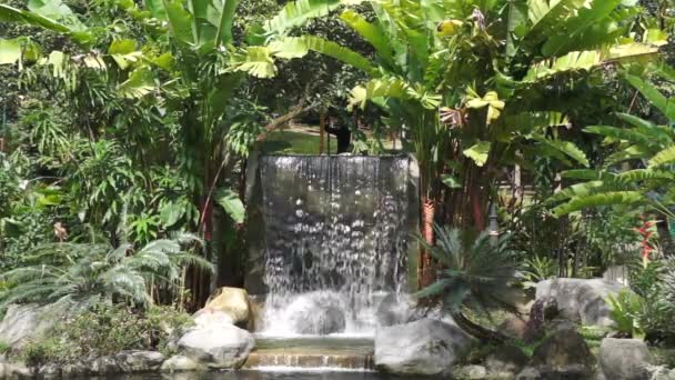 Wasserfall im Garten — Stockvideo