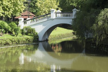 Parktaki köprü