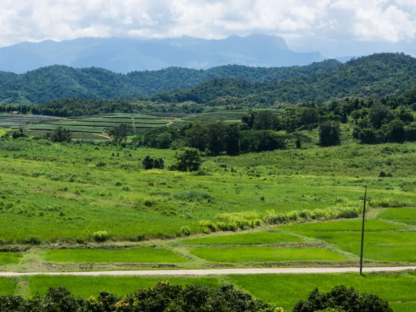 Rural area in Thailand — Stock Photo, Image