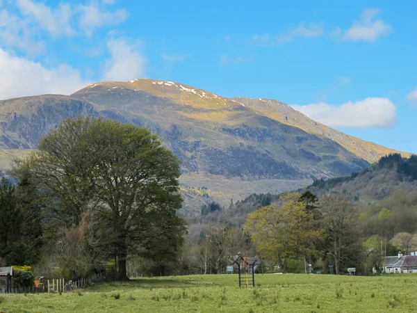 Scotland view — Stock Photo, Image