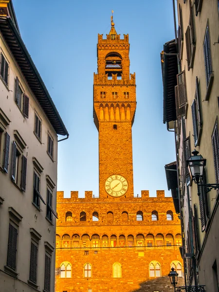 Palazzo Vecchio Rechtenvrije Stockfoto's