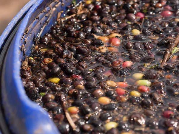 Cherry coffee — Stock Photo, Image