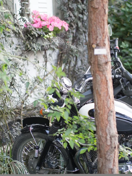 Motorcycle in garden Stock Photo