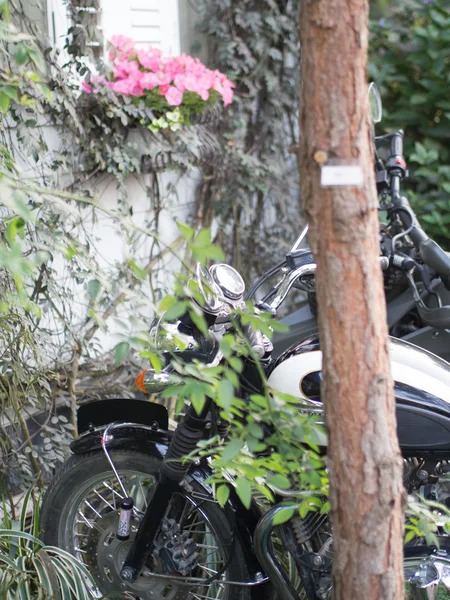 Motorfiets in tuin Rechtenvrije Stockafbeeldingen