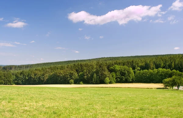Landschap met de groene bossen en de blauwe hemel — Stockfoto