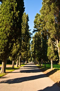 Via Appia