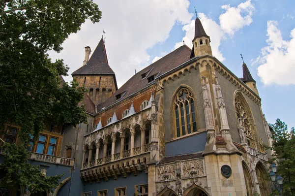 Burg vajdahunjad — Stockfoto