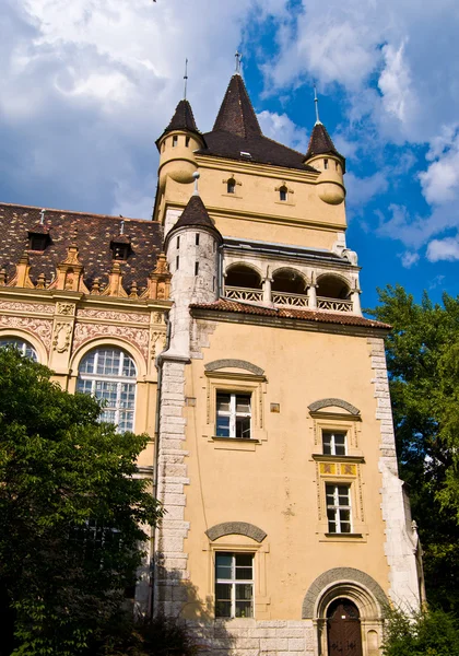 Château Vajdahunjad — Photo