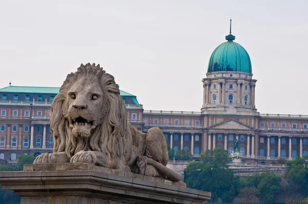 Chain bridge and Castle — Stock Photo, Image