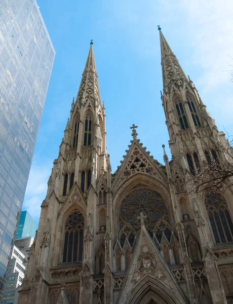 St Patricks Cathedral — Stock Photo, Image