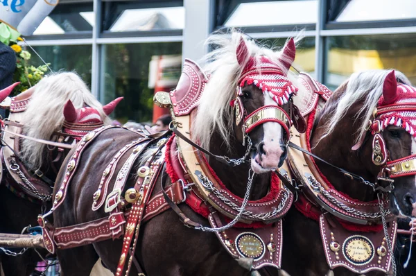 Festzug der Wiesn-Wirte — Stockfoto