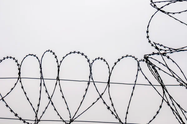 Barbed wire — Stock Photo, Image