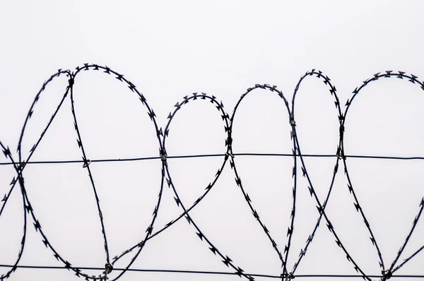 Barbed wire — Stock Photo, Image