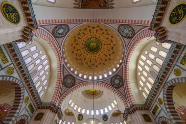Roof of Suleymaniye Mosque, Istanbul, Turkey