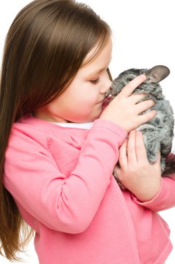 chinchilla ile küçük kız