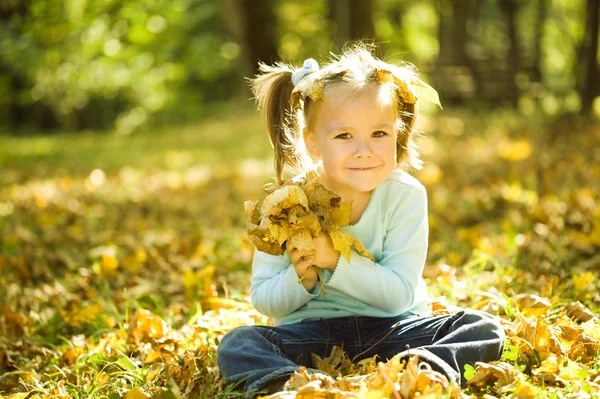 Portrait of a little girl in autumn park — Stock Photo, Image