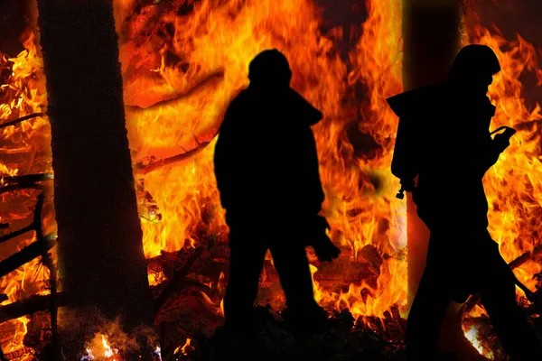 Silhouetten Van Brandweerlieden Een Bosbrand Met Brandende Bomen — Stockfoto