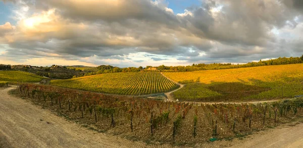 Panoramic view over Chianti wine region landscape in Tuscany, Italy, Europe in late afternoon with dramatic clouds.