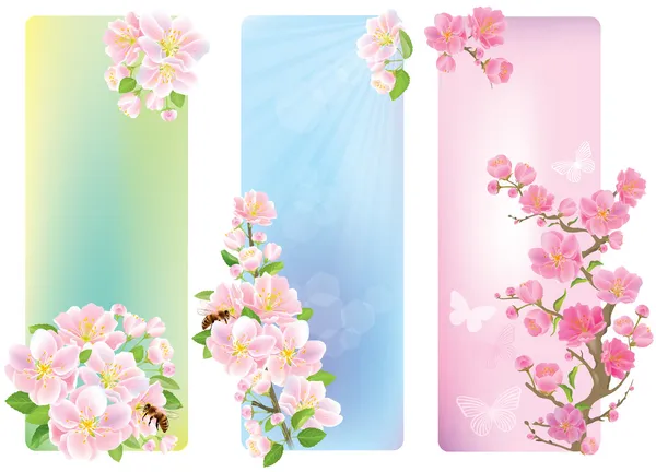 Vertical banners with a blossoming branch — Stock Vector