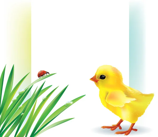 Gras en baby chick achtergrond — Stockvector