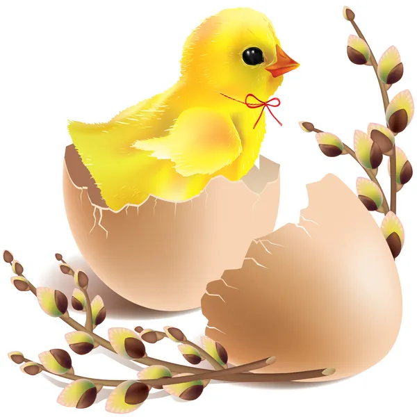 Easter baby chick hatched — Stock Vector