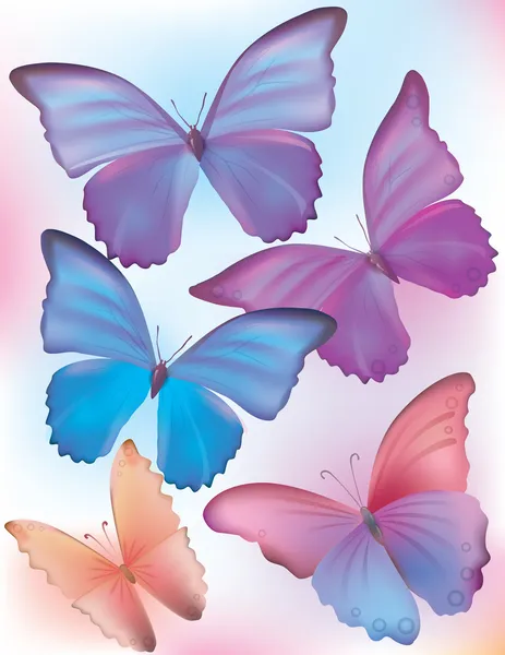 Vacker blå fjäril — Stock vektor