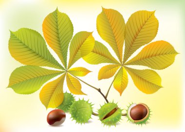Autumn chestnuts and leaves clipart
