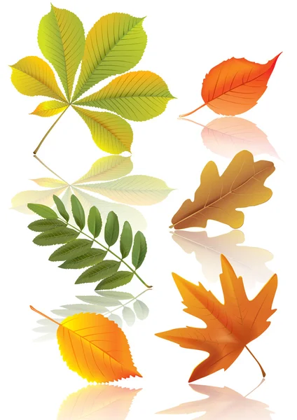 Reihe von Herbstblättern — Stockvektor