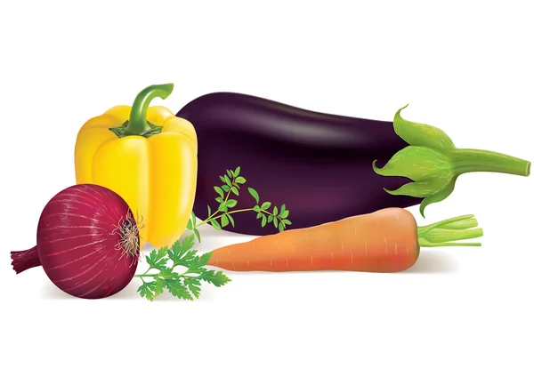 Aubergines, poivrons, carottes, oignons, persil, marjolaine — Image vectorielle