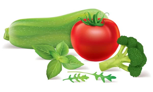 Courgettes, tomate, brocoli, roquette, basilic — Image vectorielle