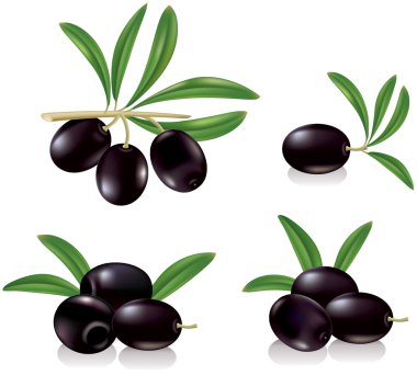 siyah zeytin
