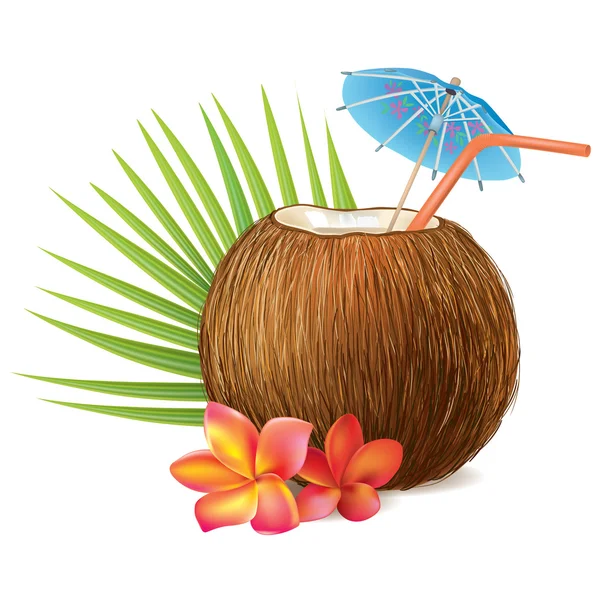 Bebida de coco — Vector de stock