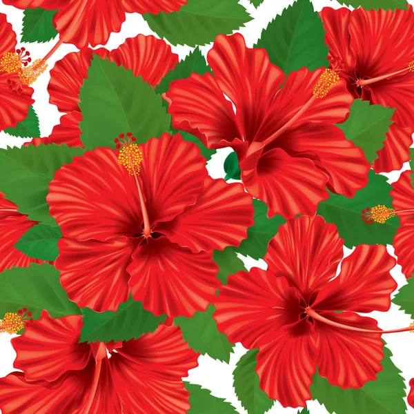 Seamless pattern of hibiscus — Stock Vector