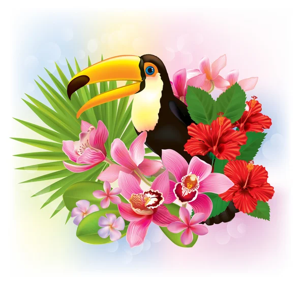 Tropical flowers and a toucan — Stock Vector