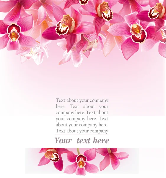 Design elegante con orchidee — Vettoriale Stock