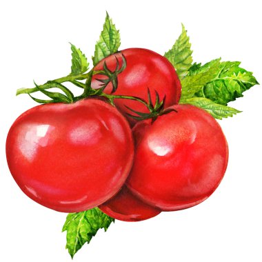 Beyaz arkaplanda suluboya resim