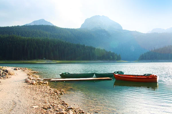 Paisaje con bosque y lago — Foto de Stock