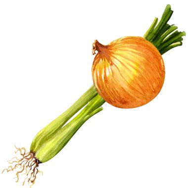 yeşil soğan