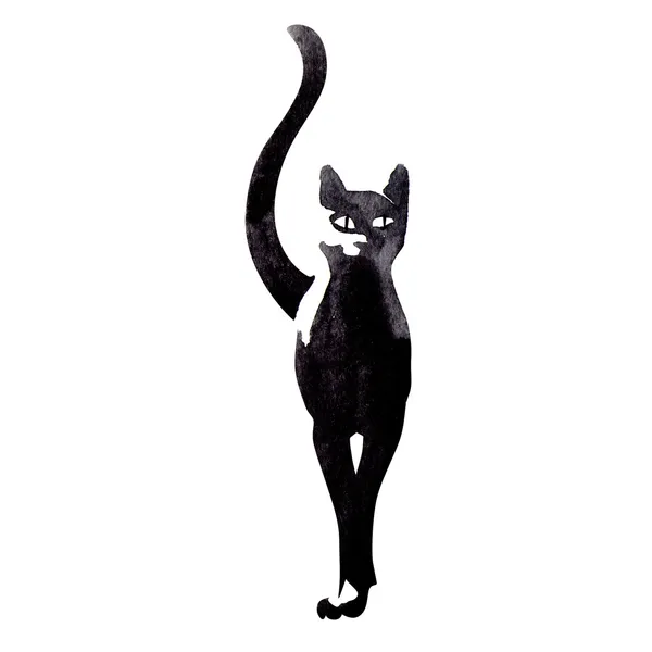 Black cat — Stock Photo, Image