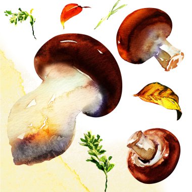 Beyaz Arkaplanda İzole edilmiş Mantar