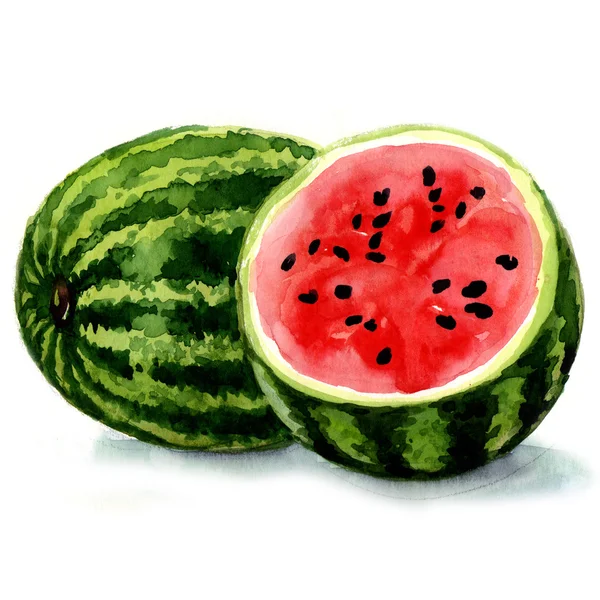 Vattenmelon. akvarell illustration — Stockfoto