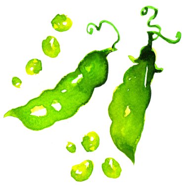 Beyaz arkaplanda izole bezelyeler